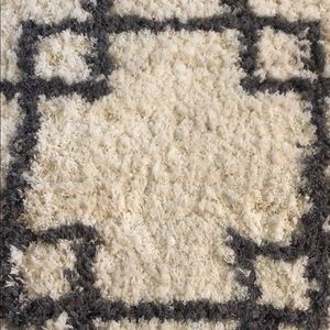 Meet your Posher, Lizzie